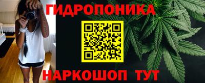 ГАЛЛЮЦИНОГЕННЫЕ ГРИБЫ Кинель