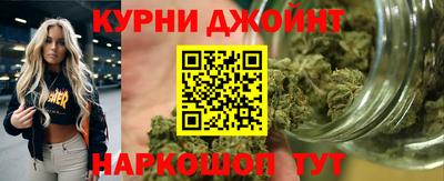прущие крисы Кингисепп