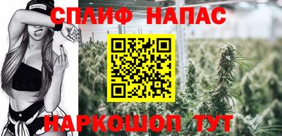 прущие крисы Кингисепп
