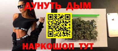 прущие крисы Кингисепп