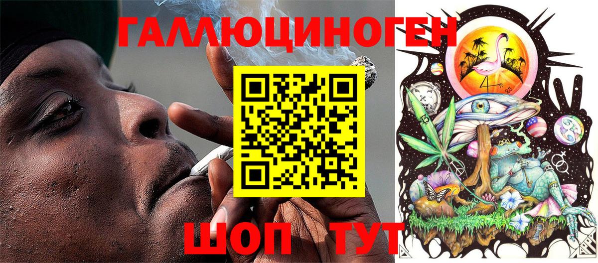 Псилоцибиновые грибы прущие грибы Коммунар